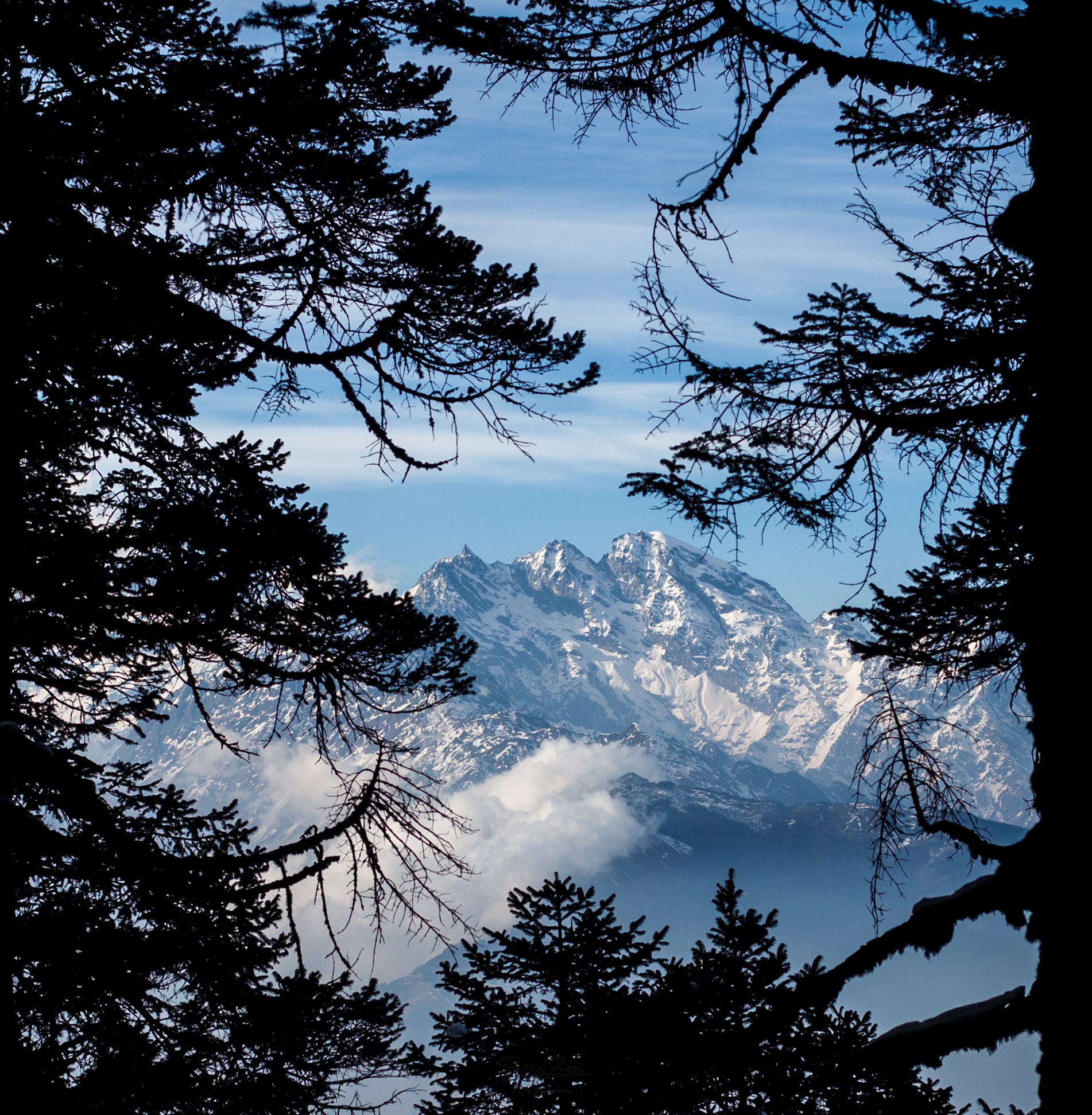 gallery-photo