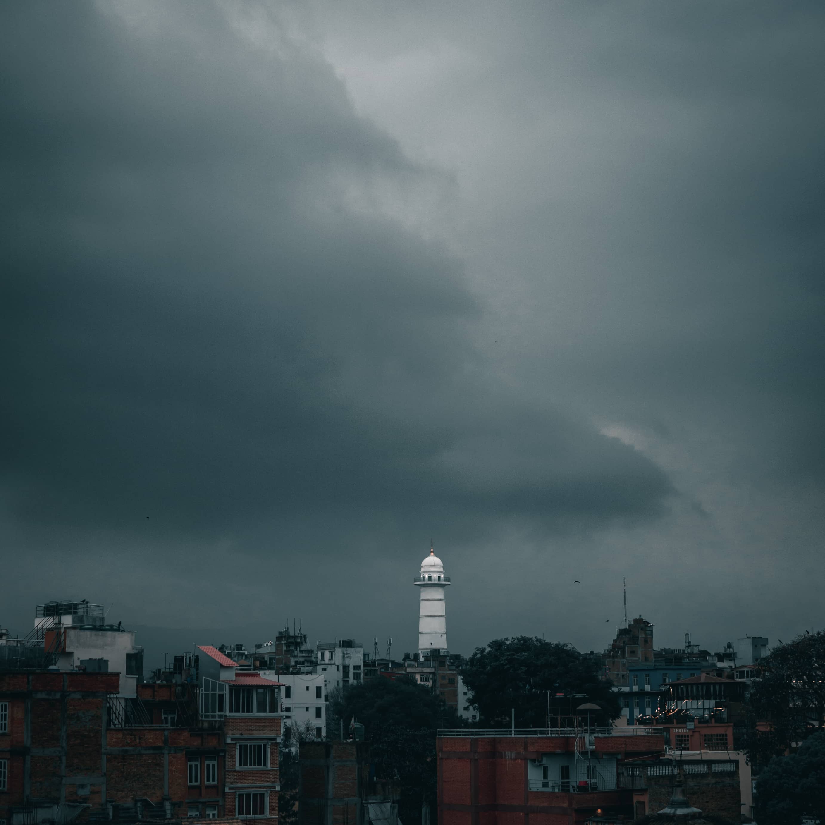 gallery-photo